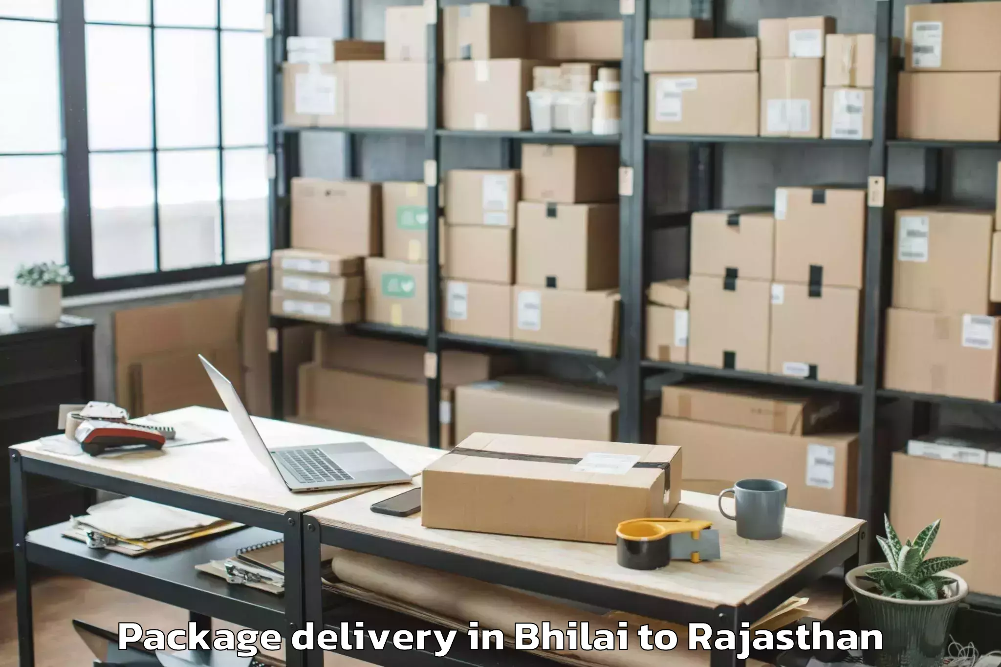 Trusted Bhilai to Bonli Package Delivery